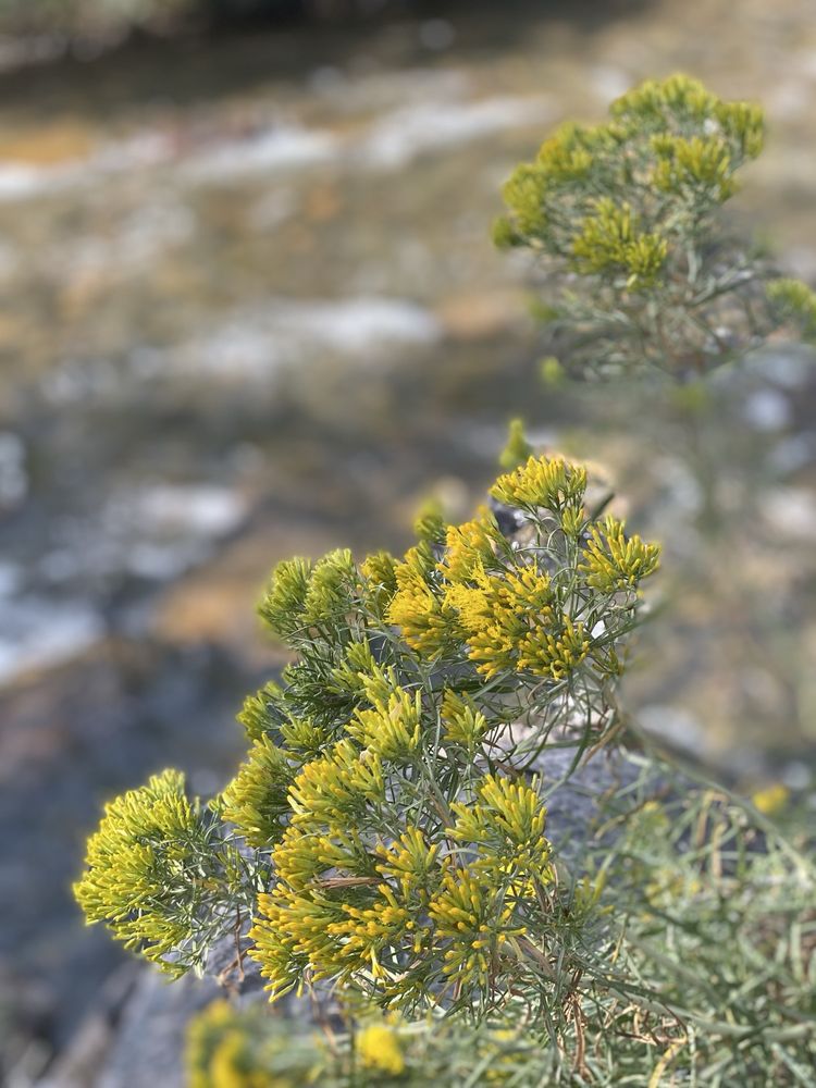 Social spots from Clear Creek Trail & Water Park
