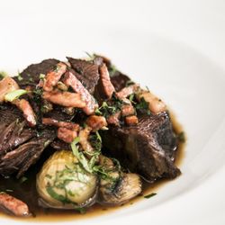 Augustus by Mudbrick - The tender texture of beef bourguignon