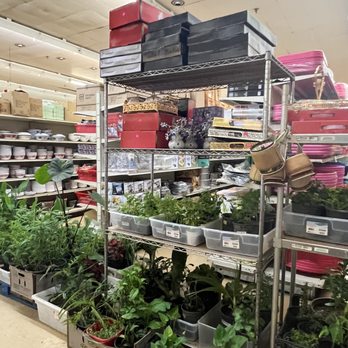 Asia Supermarket - Plants - International Grocery Near Me - Fresno, California Asia Supermarket - Plants - International Grocery Near Me - Fresno, California