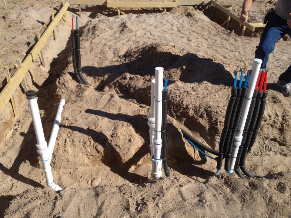 Slide of Plumb Zebra