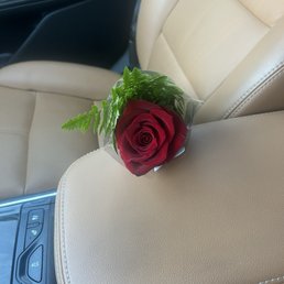 Rose that was given to me after my MRI October 2024