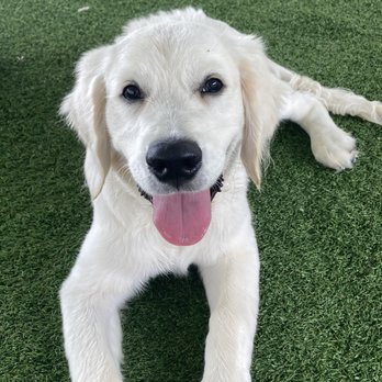 Eastside Animal Clinic - Veterinarians Near Me - Naples, Florida
