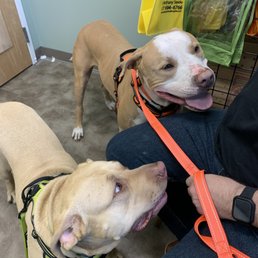 Fiona and Dougal waiting to be seen. Fiona and Dougal waiting to be seen.