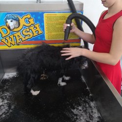 Rock of Ages Self Serve Dog Wash