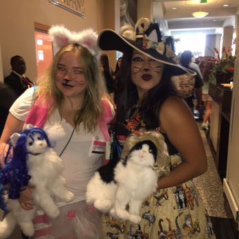 CatCon - Furrocious Fashion CatCon 2016 - Pet Adoption Near Me - Pasadena, California
