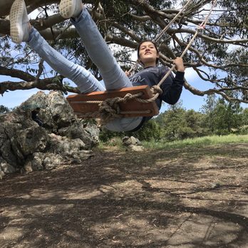 Hippie Tree - Hiking Near Me - Tiburon, California