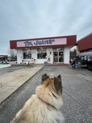Mystic Mountain Pizza by null