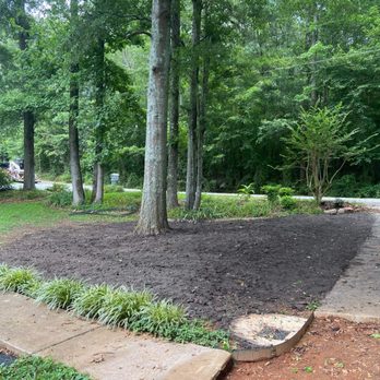 Swingin’ Vines Brush Hogging Clearing and Grading - Tree Services Near Me Swingin’ Vines Brush Hogging Clearing and Grading - Tree Services Near Me