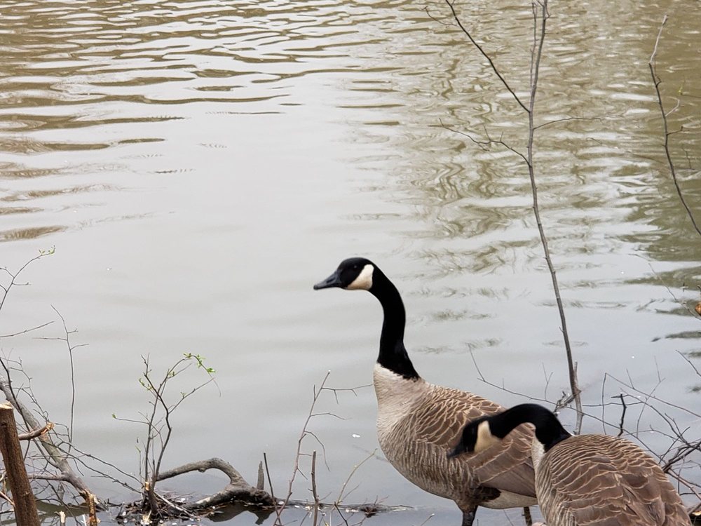 THE PLANTATION AT LENOX Updated September 2024 46 Plantation Dr NE