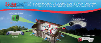 Slide of Bizzy Bee Builders