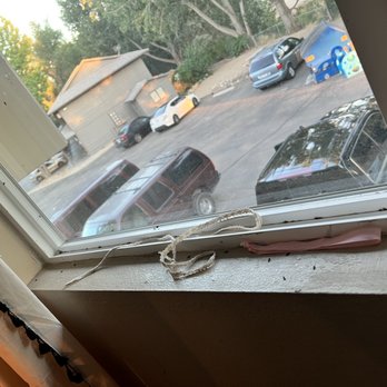 Commercial Northwest Property Management - Infestation of bugs - Property Management Near Me - Boise, Idaho