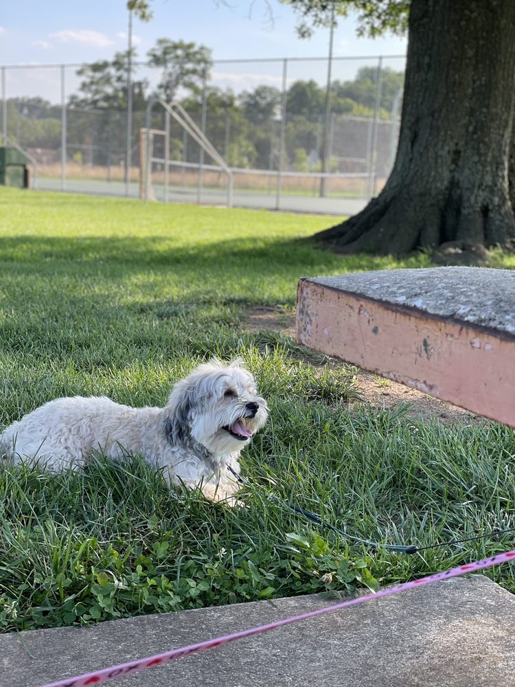 Barks & Bottles - pet boarding facility in Knightdale, NC