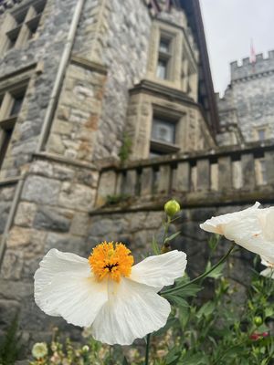 Hatley Castle by null