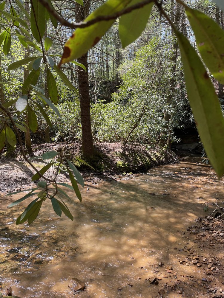 Bee Creek Off Road Adventures Logo