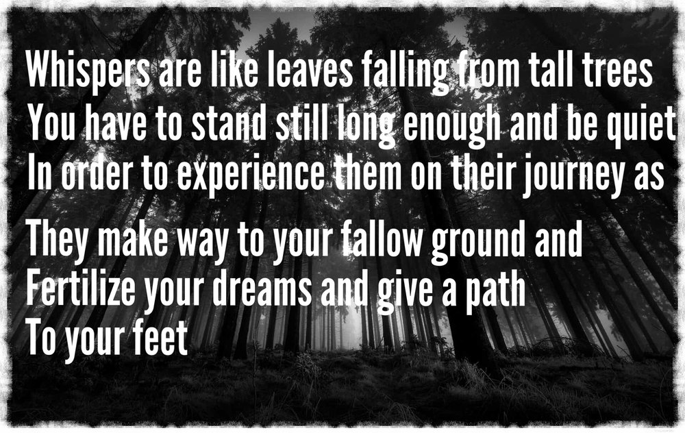 Streets of Joy - social services organization in Mesa, AZ