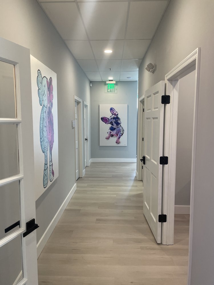 Elium Health - grief counselor in Newtown Square, PA