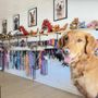 Pup’s Place