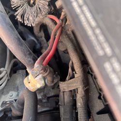 AutoZone
