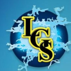 LGS Electronics