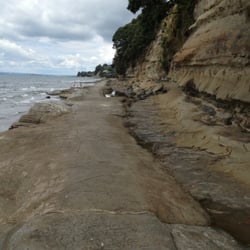 Crows Nest Rise Walk - Or on the beach boardwalk