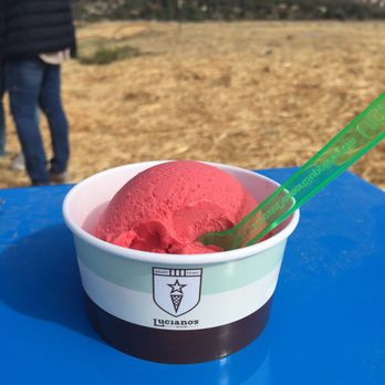 Luciano's Scoop - Raspberry sorbet - Gelato Near Me - Sacramento, California
