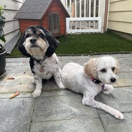 after grooming