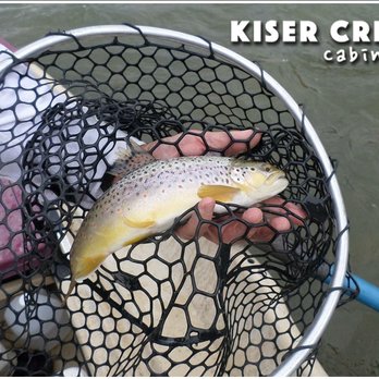 Kiser Creek Cabins - Venues & Event Spaces Near Me - Cedaredge, Colorado