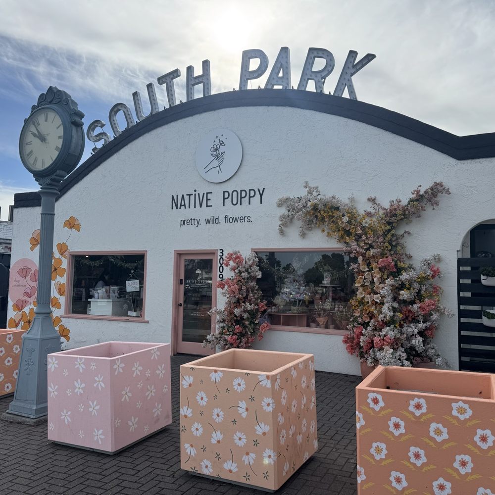 Native Poppy - Florists Near Me - San Diego, California Native Poppy - Florists Near Me - San Diego, California