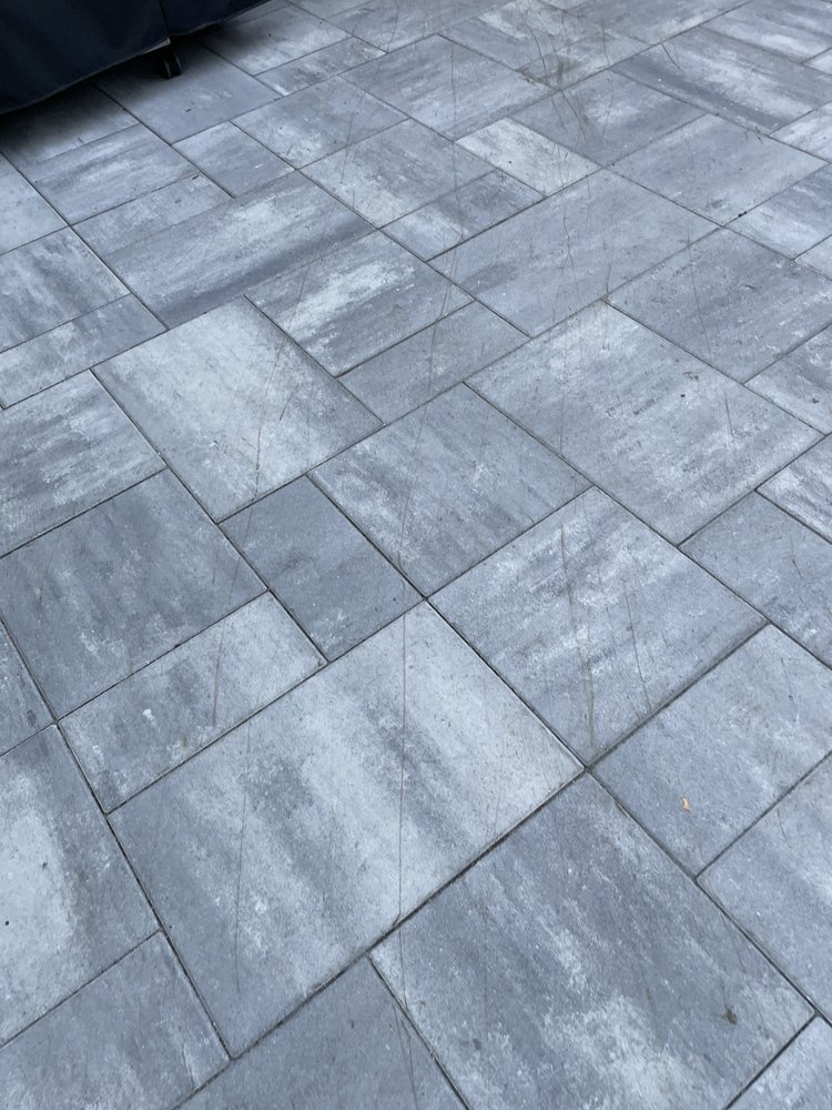 DM Tree Service - tree service in Des Plaines, IL