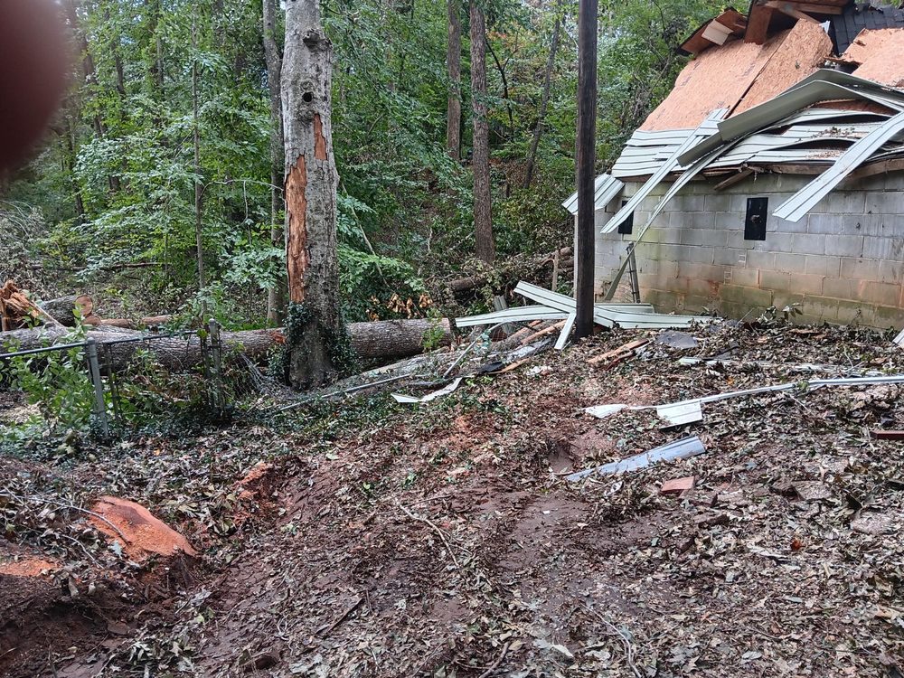 Bobcat Tree Service - tree service in Virginia Beach, VA