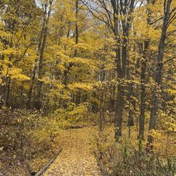 Prairie Wolf Park