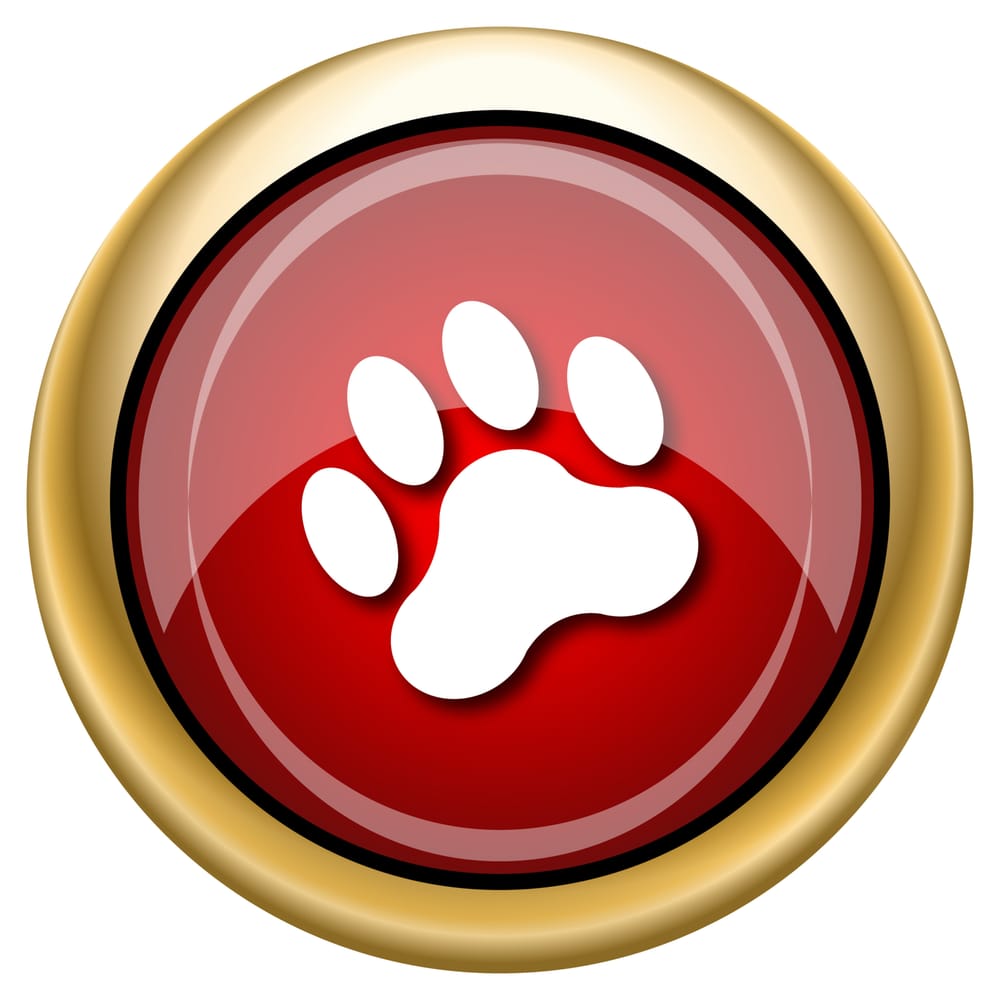 LAS CRUCES PET SERVICES Updated August 2024 2740 Ben Boldt Pl, Las