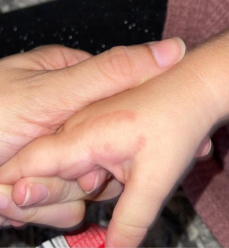 Little Lambs Learning Center - childcare center in Duluth, MN