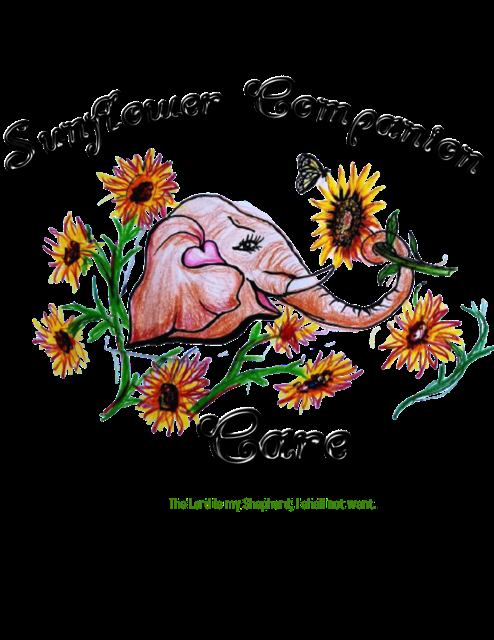 Sunflower Companion Care - home care agency in Orlando, FL