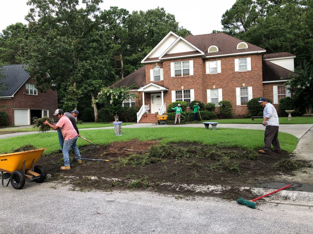 Martinez Landscaping and Pine Straw Service - tree service in Summerville, SC