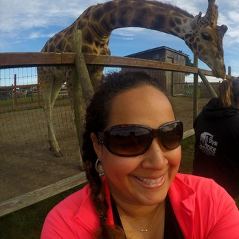 B Bryan Preserve - Such a fun experience to see such beautiful animals!! - Tours Near Me - Point Arena, California B Bryan Preserve - Such a fun experience to see such beautiful animals!! - Tours Near Me - Point Arena, California
