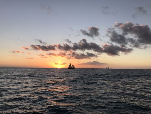 Schooner Spirit of Independence by null