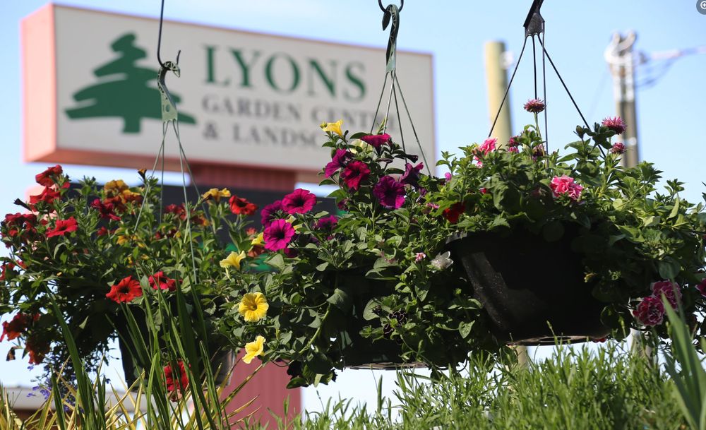 LYONS LANDSCAPING Updated September 2024 61 Photos 1271 Salish