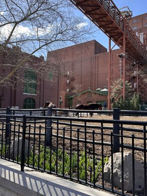 Budweiser Brewery Experience by null