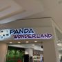 Panda Wonderland