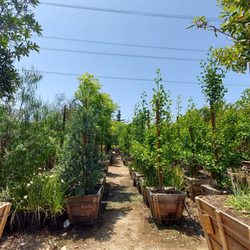 Ayon Nursery