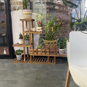 MÖGE TEE Forest Hills - Bubble Tea Near Me - Forest Hills, New York