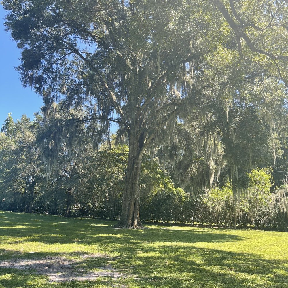 Barkley Square Dog Park - Barkley Square - Dog Parks Near Me - De Land, Florida Barkley Square Dog Park - Barkley Square - Dog Parks Near Me - De Land, Florida