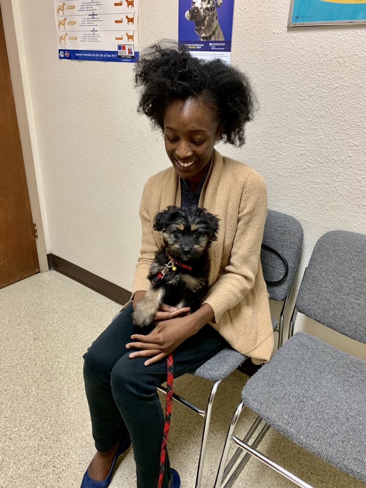 RANCHO COASTAL HUMANE SOCIETY 78 Photos & 111 Reviews 389 Requeza