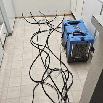 Lady & The Gent Carpet Cleaning - Carpet Cleaning Near Me - Pullman, Washington Lady & The Gent Carpet Cleaning - Carpet Cleaning Near Me - Pullman, Washington