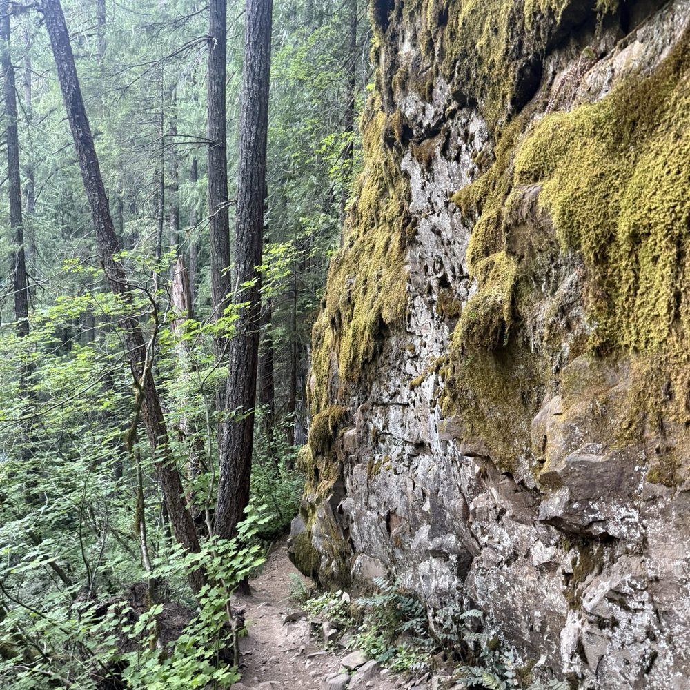 Panther Creek Falls - Hiking Near Me - Carson, Washington Panther Creek Falls - Hiking Near Me - Carson, Washington