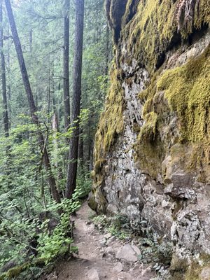 Panther Creek Falls by null