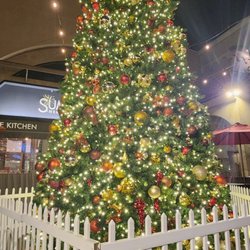 Camellia Square - Christmas tree