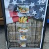 The Fishin Chicken Food Truck gift card