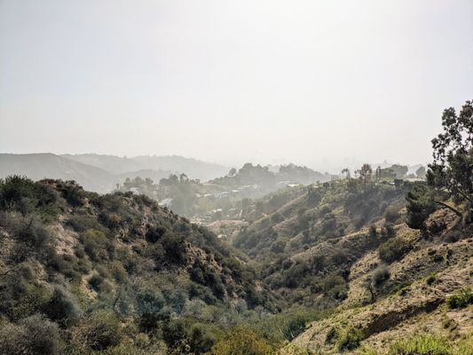 Hollywood Sign by null